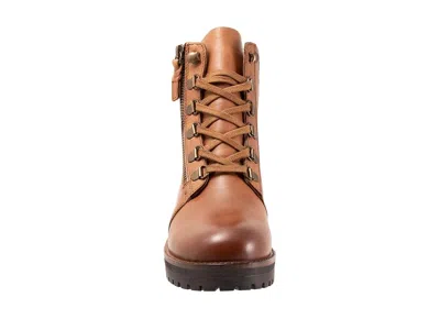Softwalk Everett In Brown