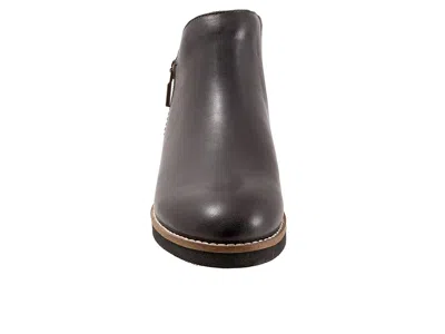 Softwalk Wesley In Gray