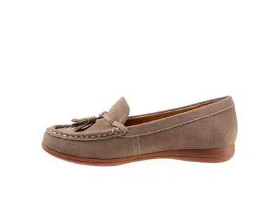 Trotters Dawson In Brown