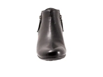 Trotters Major Bootie In Black