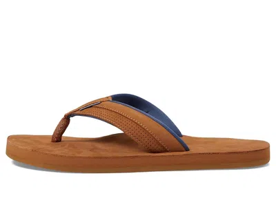 Hari Mari Grande In Brown
