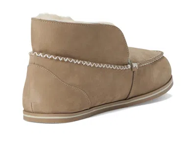 Hari Mari Grande In Multi