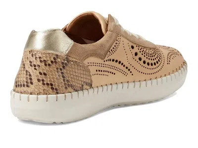 Spring Step Jumilla In Multi