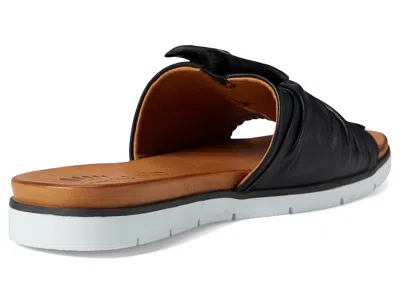 Spring Step Lavona In Black