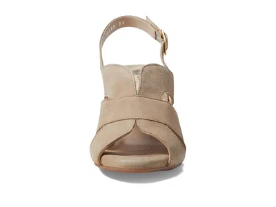 Eric Michael Lark In Sand