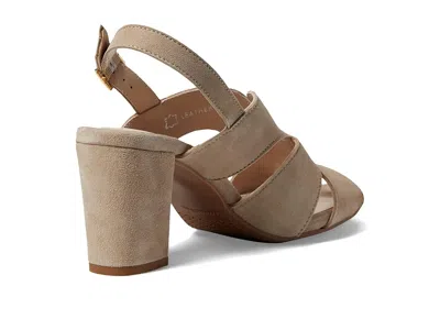 Eric Michael Lark In Sand