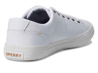 Sperry Seacycled Striper Ii Sneaker In White
