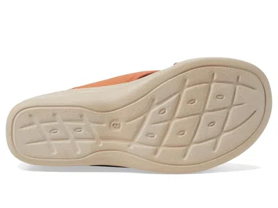 Bzees Sundance In Brown