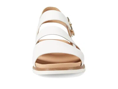 Dr. Scholl's Island Glow In Multi