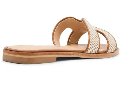 Steve Madden Hadyn In Brown