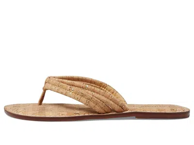 Bernardo Miami In Brown