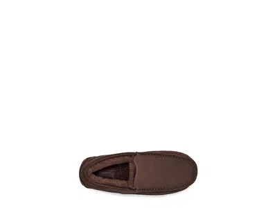 Ugg Ascot Slippers In Brown