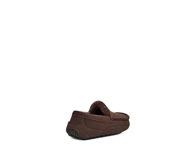 Ugg Ascot Slippers In Brown