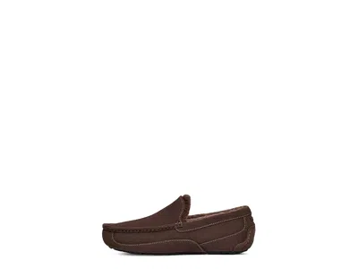 Ugg Ascot Slippers In Brown