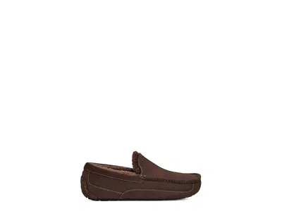 Ugg Ascot Slippers In Brown