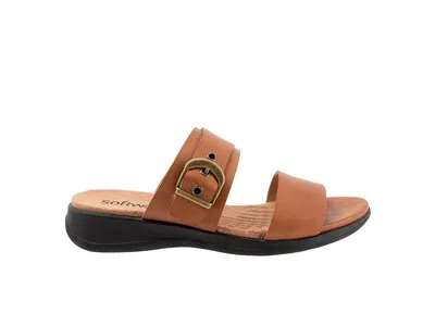 Softwalk Toki In Brown