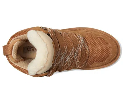 Ugg Highmel In Brown