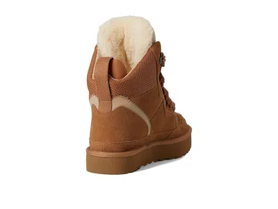 Ugg Highmel In Brown