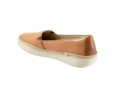 Trotters Accent In Brown