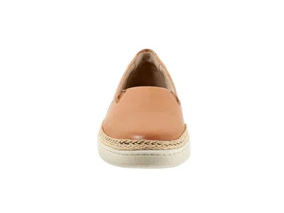 Trotters Accent In Brown