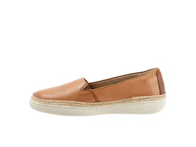 Trotters Accent In Brown