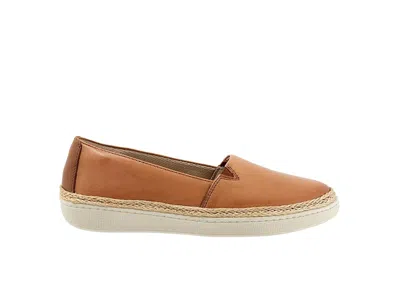 Trotters Accent In Brown