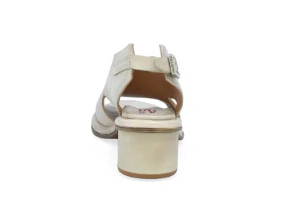 A.s. 98 Lucca In Brown