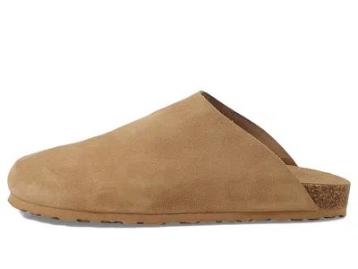 Seychelles New Routine In Brown