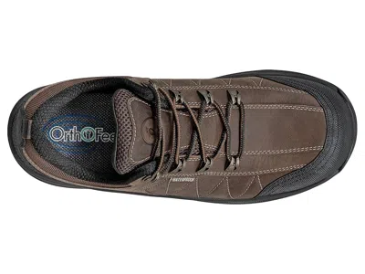 Orthofeet Dolomite In Brown