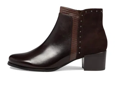 Spring Step Kastania In Brown