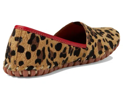 Spring Step Kathaleta Flat In Brown