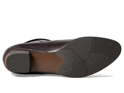 Spring Step Stockholm In Brown