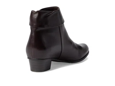 Spring Step Stockholm In Brown