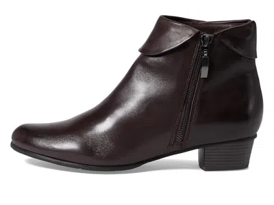 Spring Step Stockholm In Brown