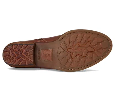 Born Kati In Brown