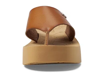 Roxy Sunset Dreams In Brown