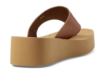 Roxy Sunset Dreams In Brown