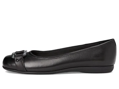 Trotters Sizzle Signature In Black