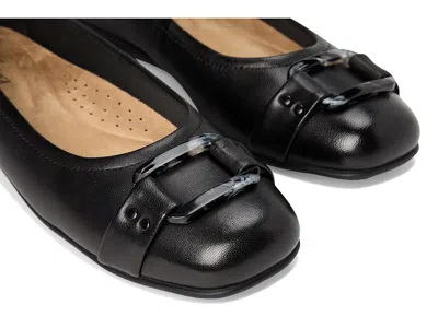 Trotters Sizzle Signature In Black