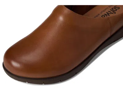 Softwalk Andria Mule In Brown