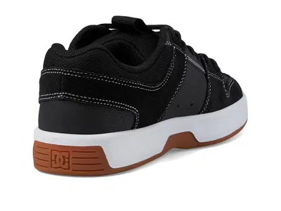 Dc Lynx Zero In Multi