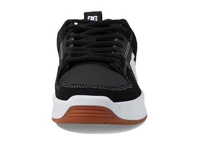 Dc Lynx Zero In Multi