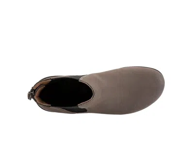 Softwalk Albany Chelsea Boot In Brown