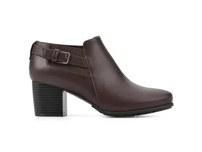 White Mountain Noah In Brown