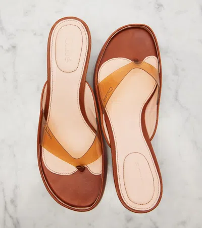 Chloé Junie Leather And Tpu Thong Sandals In Multi