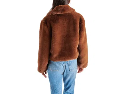 Steve Madden Juniper Coat In Brown