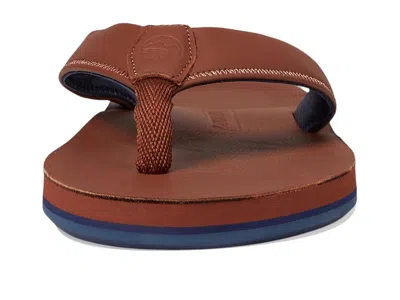 Hari Mari The Clipper