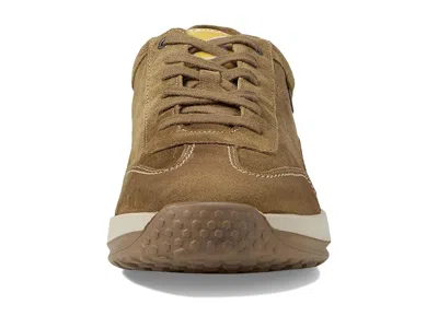 Mephisto Steve In Multi