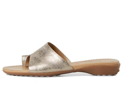 Vaneli Tallis Slide Sandal In Brown