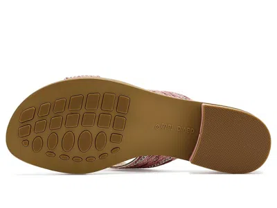 David Tate Thrill In Multi